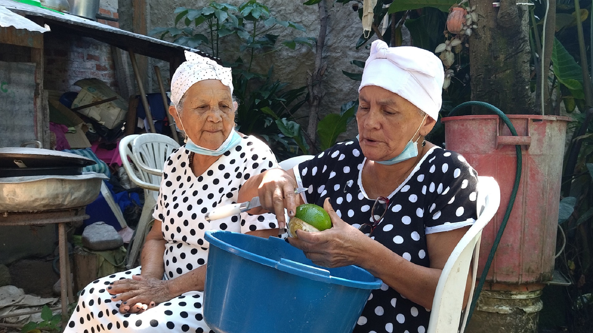Dulce de toronja