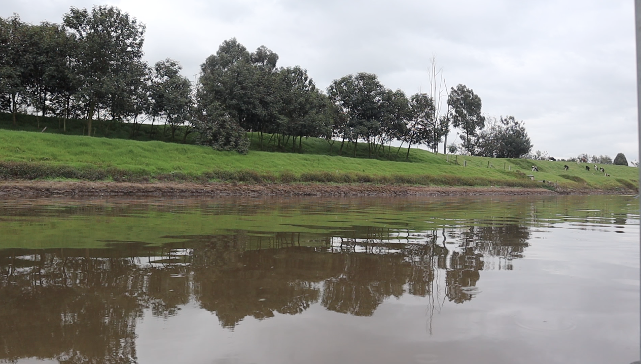 Río Bogotá: el proceso de recuperación y su transformación