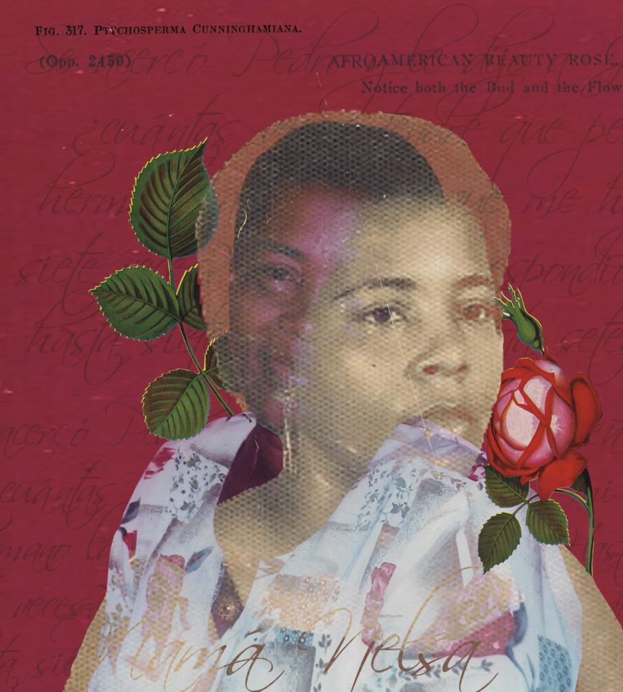 Esta propuesta literaria y creativa reivindica el ser mujer desde una perspectiva compleja, construida a partir de narraciones y experiencias sobre el cuerpo, la familia, el color, la memoria, la identidad y la búsqueda de una voz propia. La obra habita la fragmentación y el error como elementos constitutivos tanto del ser mujer como del ejercicio artístico del collage.  A través de sus páginas, las autoras exploran el acto creativo como un territorio compartido y abren un diálogo entre intuición, experiencia y recuerdo. Cada capítulo representa una voz singular que, en conjunto, conforma un cuerpo múltiple que celebra la creación como una práctica sensible e íntima.  Detrás de esta iniciativa está La Tijera Colectiva, un proyecto cultural y creativo colombiano que promueve el collage hecho por mujeres alrededor del mundo. La apuesta surge desde el arte autogestionado y la búsqueda constante de alianzas para impulsar esta técnica como una herramienta de introspección, creación de comunidad, fortalecimiento de la creatividad y pensamiento crítico.  Desde 2020, La Tijera Colectiva ha visibilizado el trabajo de más de 50 creadoras colombianas y de otros países, consolidando una comunidad activa en redes sociales y posicionando nuevos espacios para el arte hecho por mujeres. Además, lideró el proyecto editorial MujerEs: el collage de ser mujer, producido y comercializado en 2023 junto a Albaricoque Libros, con participación en escenarios culturales como Filcarmina VII.  También ha impulsado encuentros creativos en Bogotá para ampliar los lenguajes y aplicaciones del collage, con el apoyo de artistas invitadas y el propósito de generar oportunidades para que más creadoras puedan monetizar su trabajo y compartir sus saberes con nuevas comunidades.