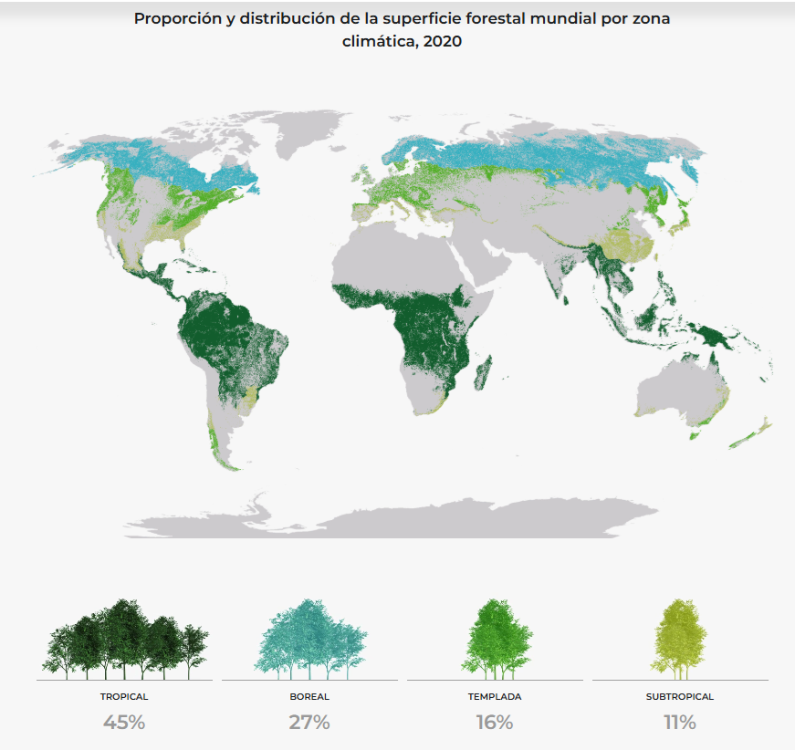 DistribuciÃ³n de la deforestaciÃ³n en el mundo