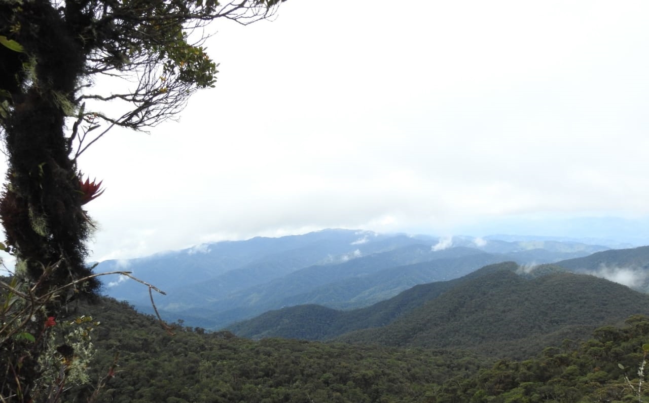 Cerro Páramo Miraflores y sus jóvenes guardianes