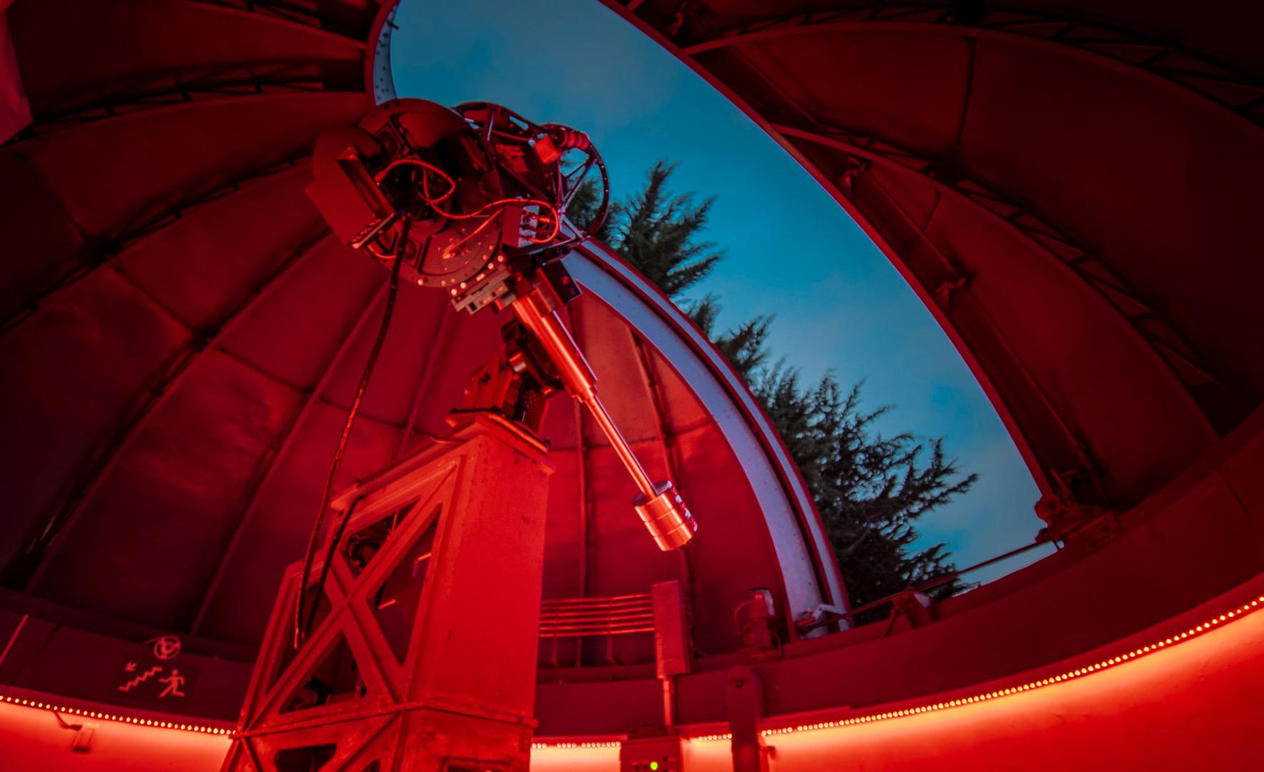 Descubre los fascinantes Museos de la UNAL en Bogotá este Día