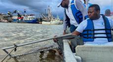 EPA Buenaventura investiga presencia de microplásticos en peces comerciales por riesgo ambiental y sanitario