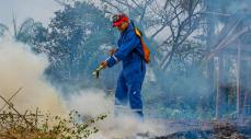 Alerta roja por incendios forestales en La Guajira 