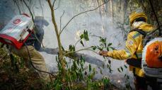 Colombia tiene 32 incendios activos en 8 departamentos