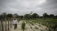 Alerta por llegada del fenómeno de El Niño