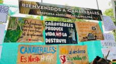 Cañaverales resiste: comunidad afro en La Guajira lucha por salvar su manantial del proyecto minero de carbón