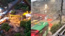 Lluvias en Medellín y el Valle de Aburrá dejan árboles caídos, cierres y quebradas en nivel rojo
