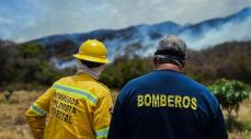 No esperemos que el bosque arda para prevenir los incendios forestales