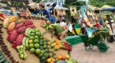  Desfile de Carretillas Frutícolas lejanías, Meta