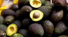 Cultivo de aguacate Hass en Colombia, que supera las 39.000 hectáreas registradas en 2026