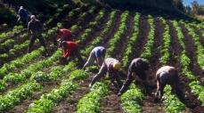 Gobierno entrega tierras a comunidades desplazadas en Huila y Sucre como parte de la Reforma Agraria