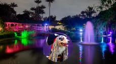El Jardín Botánico de Bogotá tendrá recorridos, disfraces inspirados en la naturaleza y actividades para celebrar Halloween en familia.