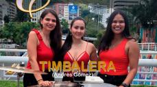 Timbalera
