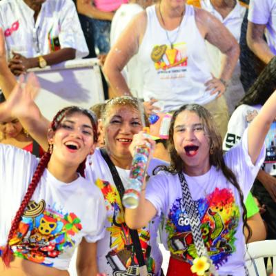 Carnaval de Valledupar 2026