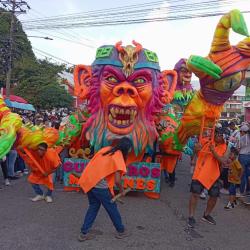 Asamblea del Putumayo hunde ordenanza para carnavales de Mocoa
