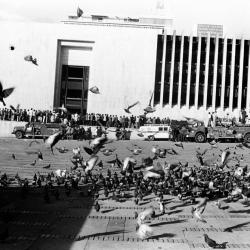 Víctimas del Palacio de Justicia: Fiscalía cita 9 exmilitares