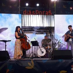 Músicos colombianos emergentes: Viajeros, Música y Camino 