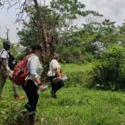 Agencia Nacional de Tierras recupera 427 hectáreas en Antioquia