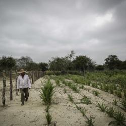 Comunidades indígenas de la Guajira beneficiadas con Agua y Seguridad alimentaria por el Ministerio de Agricultura y Desarrollo Rural.