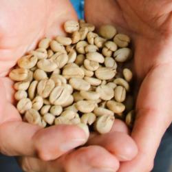 Huila: 800 familias cafeteras beneficiadas con mejoras en las vías rurales 