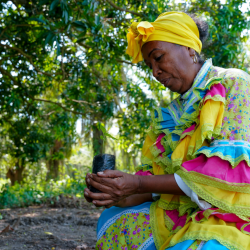 Colombia se prepara para la "Conferencia para la Transición más allá de los Combustibles Fósiles"