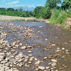 Contaminación del agua Colombia: ríos del Cesar en riesgo por deforestación y minería