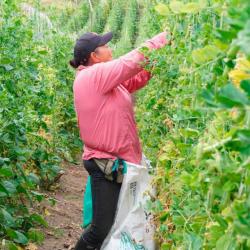 Disminución pobreza rural Colombia DANE