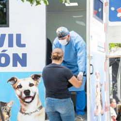 Santa Marta lanza jornada masiva de esterilización de perros y gatos