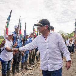 Erradicación voluntaria de hoja de coca en Nariño