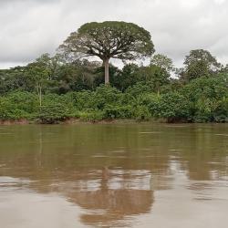 Gobernación del Tolima desfinanció el PAE en $14 mil millones