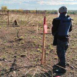 Agustín Codazzi quedó libre de minas antipersonal