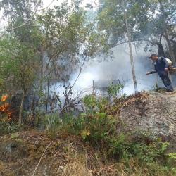18 municipios del Huila se encuentran en alto y muy alto riesgo de incendios forestales por la posible llegada del Fenómeno de El Niño