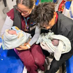 El milagro de la vida y por partida doble en el Amazonas