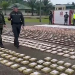 Incautación de marihuana en Putumayo