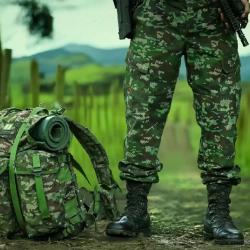 Soldados liberados en Guaviare: pronunciamiento MinDefensa