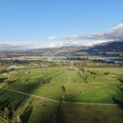 MinAmbiente tutela suspensión ambiental en Bogotá