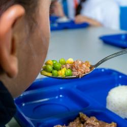 Programa de Alimentación Escolar apunta a cobertura histórica en 2026