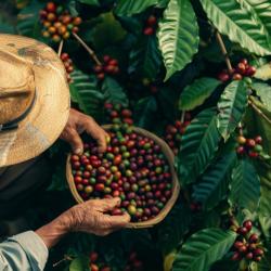 Gobierno del Cambio recupera Cooperandes en Antioquia