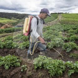 Crecimiento exportaciones septiembre 2025: impulsadas sector agropecuario 