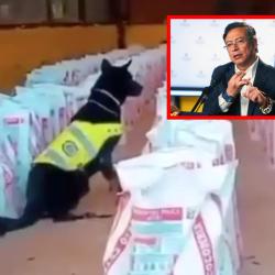 14 toneladas de cocaína fueron decomisadas en Buenaventura