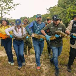 Los ejemplares son diferentes especies como reptiles, anfibios y aves y fueron liberados en la reserva natural de la sociedad civil Yurumí en el municipio de Puerto López.