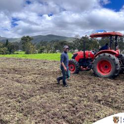 ¡Histórico! El desempleo en Colombia baja al 7 % en noviembre: la cifra más baja jamás registrada