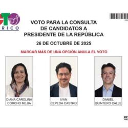 Reimpresión tarjetón consulta Pacto Histórico