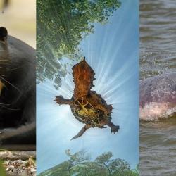 Foto: Página Radio Nacional de Colombia 