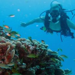Reserva de biosfera Seaflower