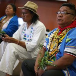 Reconocimiento del funcionamiento y elección de los gobiernos indígenas 