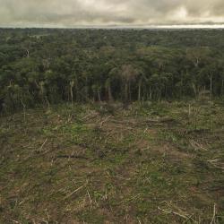 Temporada 2 Episodio 3 - Sobreexplotación