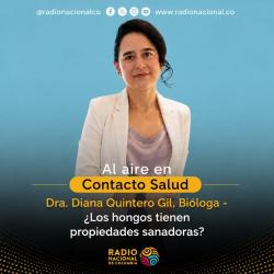 ¿Los hongos tienen propiedades sanadoras?