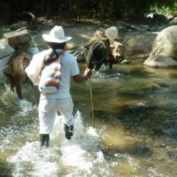 Foto: Página Radio Nacional de Colombia 